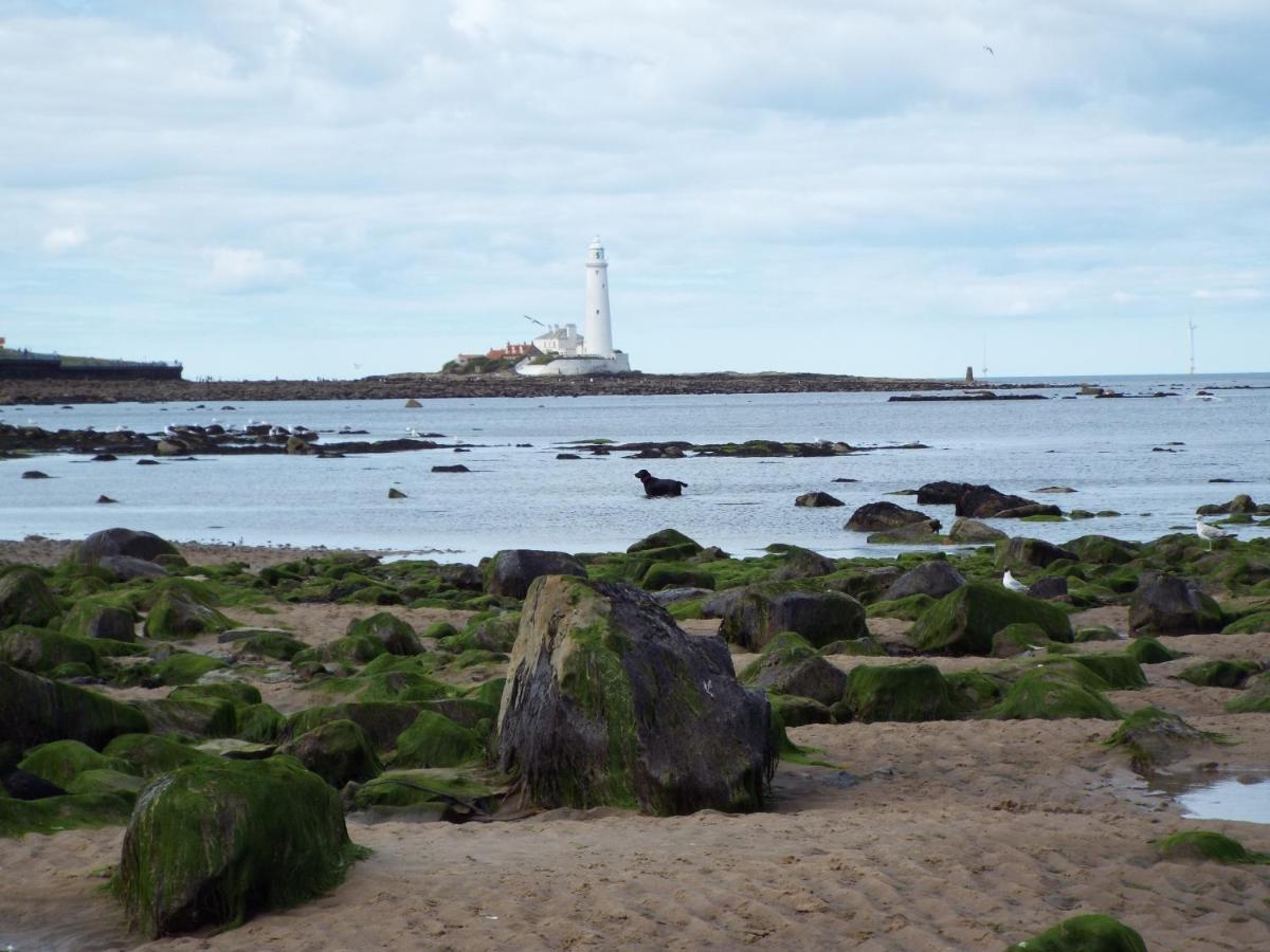 Boquhanran Caravan, Whitley Bay Hartley Buitenkant foto